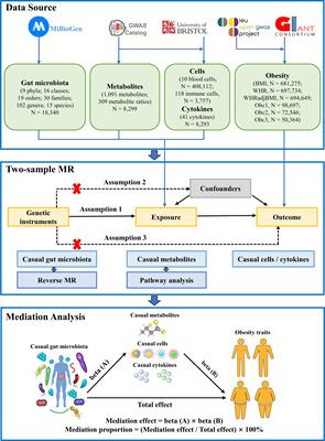 Effect of the gut microbiome, plasma metabolome, peripheral cells, and inflammatory cytokines on obesity: a bidirectional two-sample Mendelian randomization study and mediation analysis